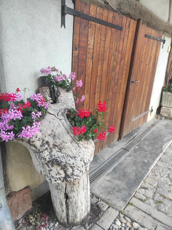 Gite De Peupliers Valdieu エクステリア 写真