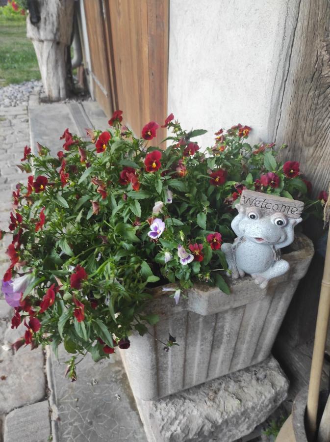 Gite De Peupliers Valdieu エクステリア 写真