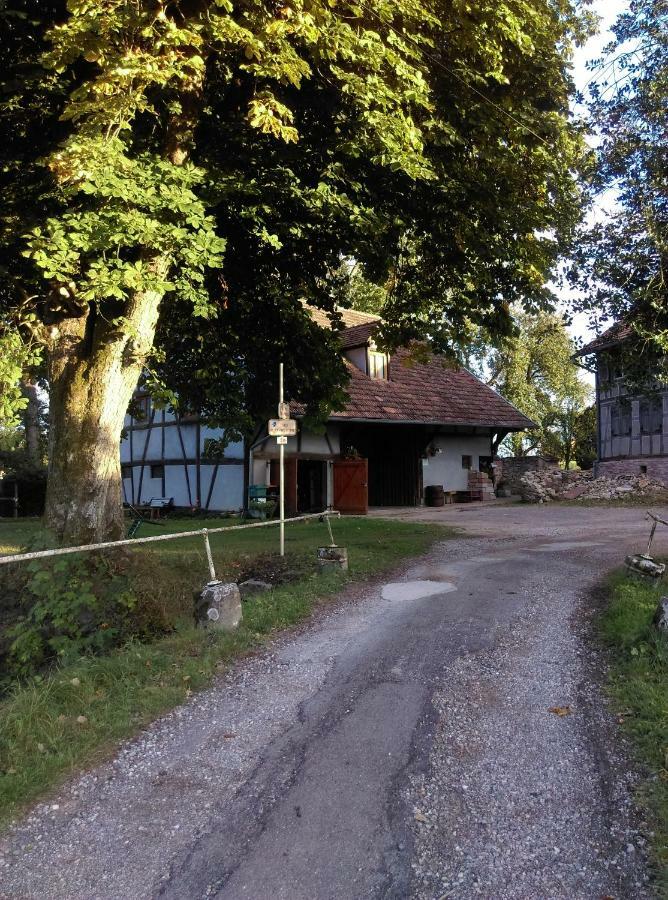 Gite De Peupliers Valdieu エクステリア 写真
